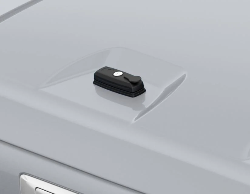 Miniatura 8
